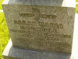 image number Catchpole Sarah Maria 458